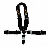 RCI (Racer's Choice Inc) Seat Belt 9411CD