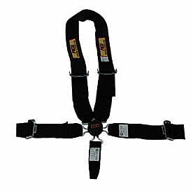 RCI (Racer's Choice Inc) Seat Belt 9411CD