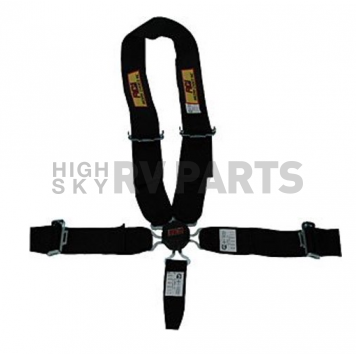 RCI (Racer's Choice Inc) Seat Belt 9411CD