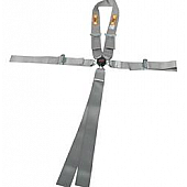 RCI (Racer's Choice Inc) Seat Belt 9411CPL
