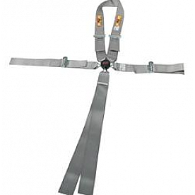RCI (Racer's Choice Inc) Seat Belt 9411CPL