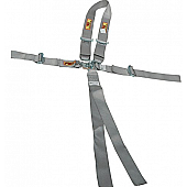 RCI (Racer's Choice Inc) Seat Belt 9411PL