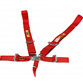RCI (Racer's Choice Inc) Seat Belt 9510B