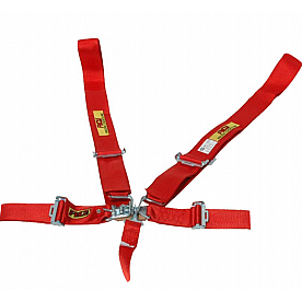 RCI (Racer's Choice Inc) Seat Belt 9510B