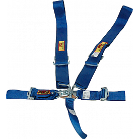 RCI (Racer's Choice Inc) Seat Belt 9510C