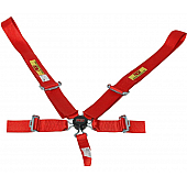 RCI (Racer's Choice Inc) Seat Belt 9510CB