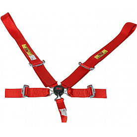 RCI (Racer's Choice Inc) Seat Belt 9510CB