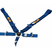 RCI (Racer's Choice Inc) Seat Belt 9510CC