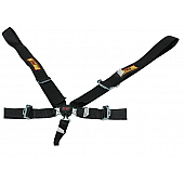 RCI (Racer's Choice Inc) Seat Belt 9510CD
