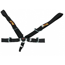 RCI (Racer's Choice Inc) Seat Belt 9510CD