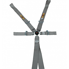 RCI (Racer's Choice Inc) Seat Belt 9510CPL