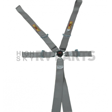 RCI (Racer's Choice Inc) Seat Belt 9510CPL