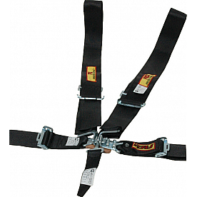 RCI (Racer's Choice Inc) Seat Belt 9510D