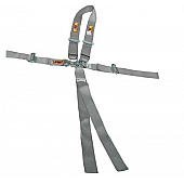 RCI (Racer's Choice Inc) Seat Belt 9510PL