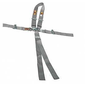 RCI (Racer's Choice Inc) Seat Belt 9510PL
