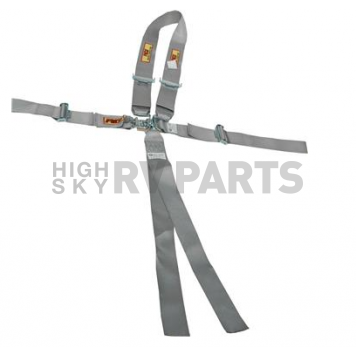 RCI (Racer's Choice Inc) Seat Belt 9510PL