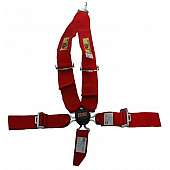 RCI (Racer's Choice Inc) Seat Belt 9511CB