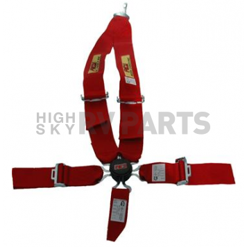 RCI (Racer's Choice Inc) Seat Belt 9511CB