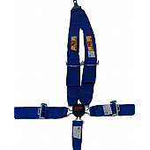 RCI (Racer's Choice Inc) Seat Belt 9511CC