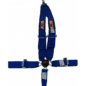 RCI (Racer's Choice Inc) Seat Belt 9511CC