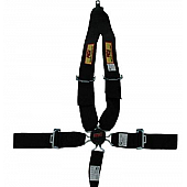 RCI (Racer's Choice Inc) Seat Belt 9511CD