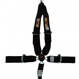 RCI (Racer's Choice Inc) Seat Belt 9511CD