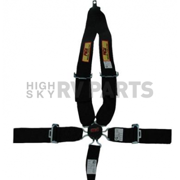 RCI (Racer's Choice Inc) Seat Belt 9511CD