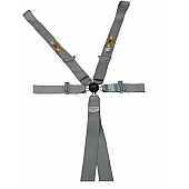 RCI (Racer's Choice Inc) Seat Belt 9511CPL