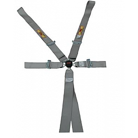 RCI (Racer's Choice Inc) Seat Belt 9511CPL
