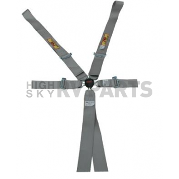 RCI (Racer's Choice Inc) Seat Belt 9511CPL