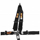 RCI (Racer's Choice Inc) Seat Belt 9511D