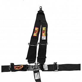 RCI (Racer's Choice Inc) Seat Belt 9511D