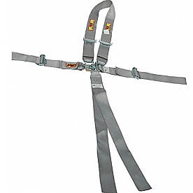 RCI (Racer's Choice Inc) Seat Belt 9511PL