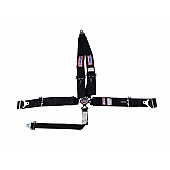 RJS Racing Seat Belt 1058401