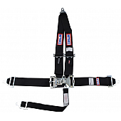 RJS Racing Seat Belt 1125701