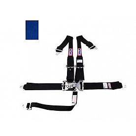 RJS Racing Seat Belt 1125703