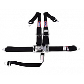 RJS Racing Seat Belt 1135301