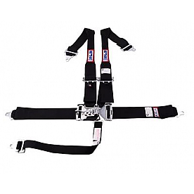 RJS Racing Seat Belt 1135301