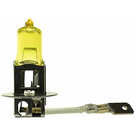 Hella Driving/ Fog Light Bulb - H71070662
