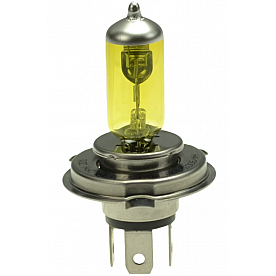 Hella Driving/ Fog Light Bulb - H71070682