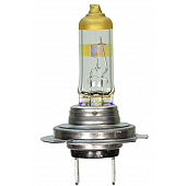 Wagner Lighting Headlight Bulb Set Of 2 - BPH7ND2