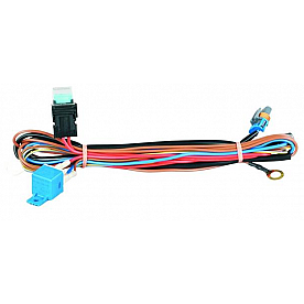 Hella Driving/ Fog Light Wiring Harness 149147001