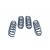 Dinan Performance Lowering Spring Set D100-0935