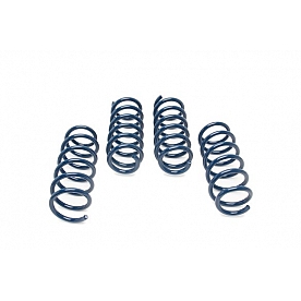 Dinan Performance Coil Spring Lowering Kit D100-0933