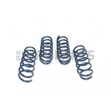 Dinan Performance Lowering Spring Set D100-0935