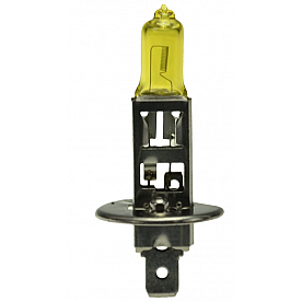 Hella Driving/ Fog Light Bulb H71070642