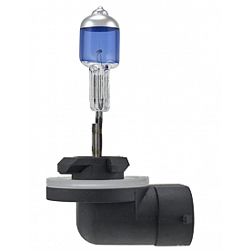 Hella Driving/ Fog Light Bulb H71071222