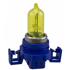 Hella Driving/ Fog Light Bulb H71071302