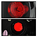 Spyder Automotive Tail Light Assembly 5007896