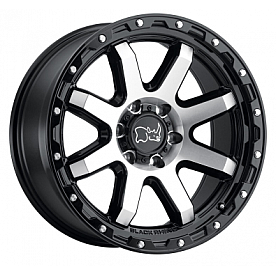 Black Rhino Wheel Coyote - 20 x 9 Black With Natural Face And Stainless Bolt - 2090CYT-85127B71